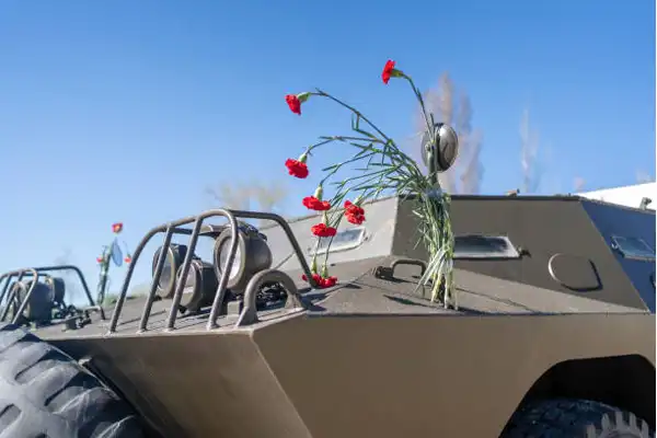 جنگ انقلاب میخک